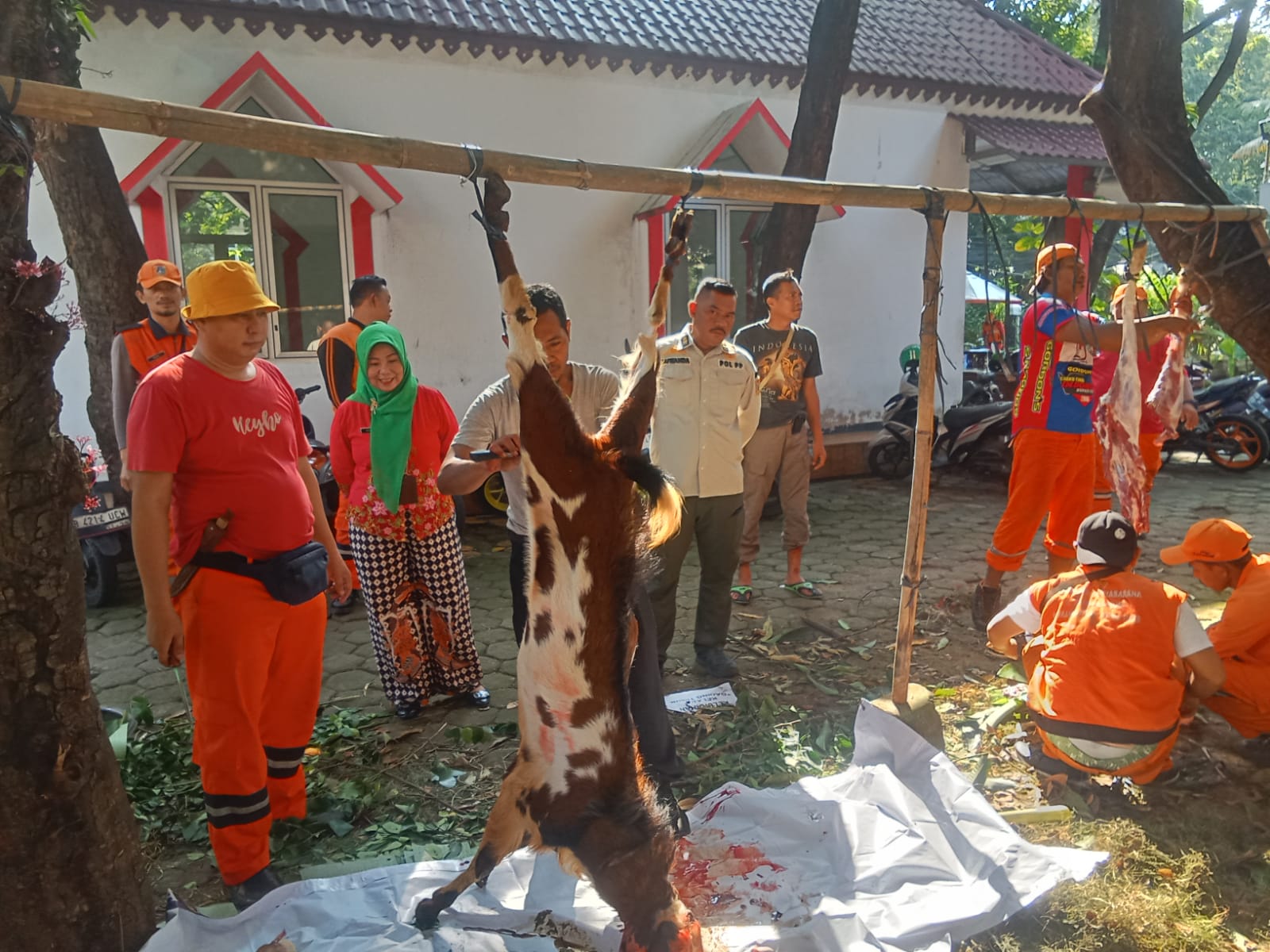 Monitoring Penyembelihan Hewan Kurban di Kantor Kelurahan Kelapa Gading Timur 1