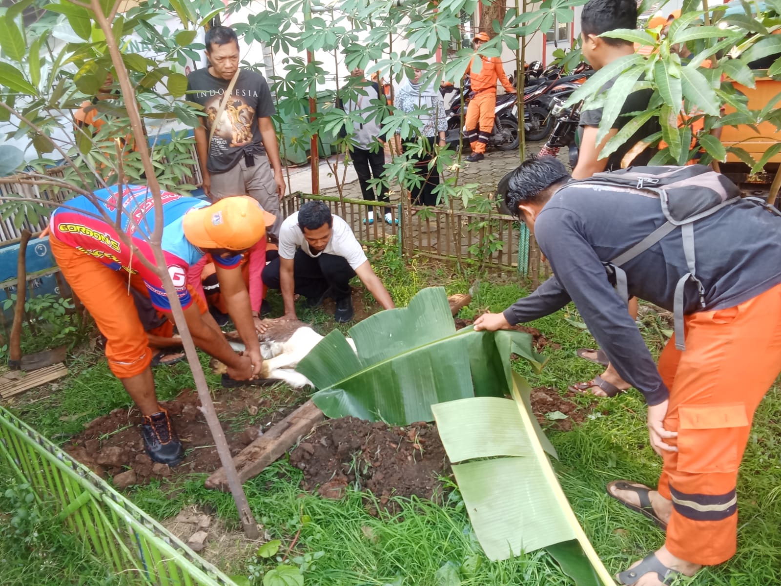 Monitoring Penyembelihan Hewan Kurban di Kantor Kelurahan Kelapa Gading Timur 2