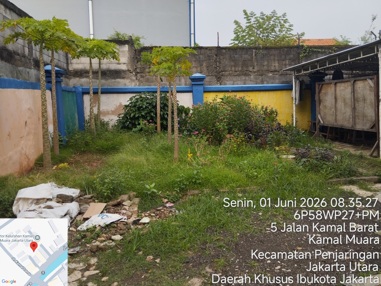 PPSU Kamal Muara Perkuat Penghijauan Wilayah Melalui Penataan Area Pembibitan Tanaman 3