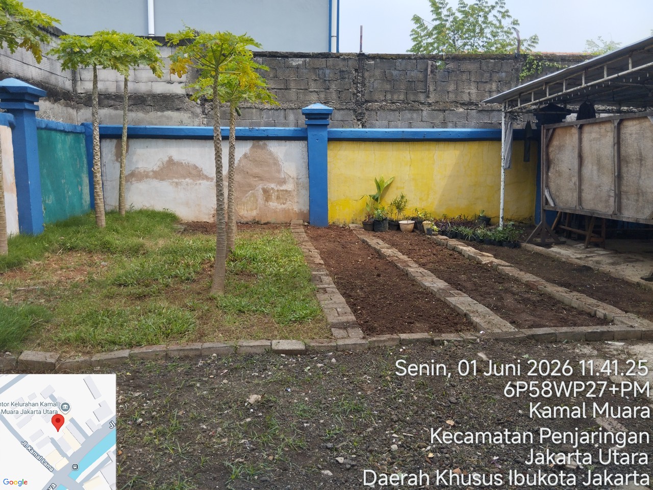 PPSU Kamal Muara Perkuat Penghijauan Wilayah Melalui Penataan Area Pembibitan Tanaman 4