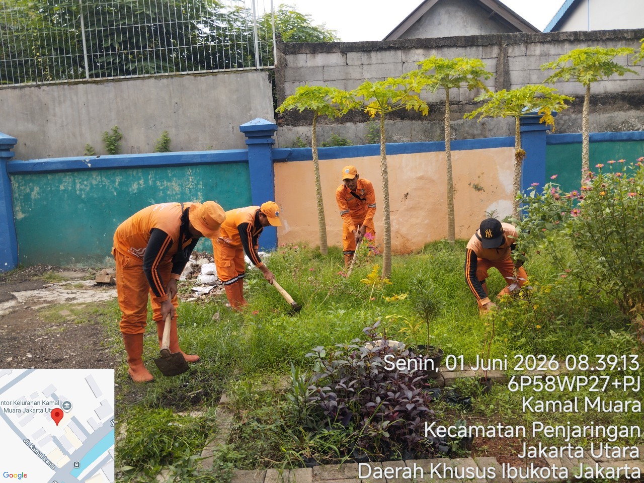 PPSU Kamal Muara Perkuat Penghijauan Wilayah Melalui Penataan Area Pembibitan Tanaman 1