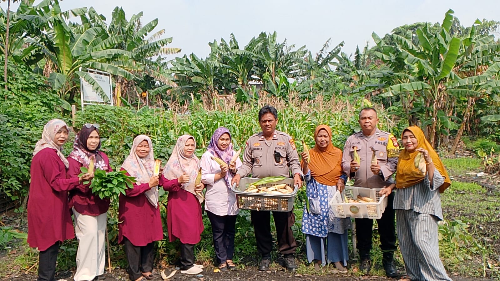 Ketua TP PKK Kelurahan Papanggo Monitoring dan Panen Hasil Kebun Produktif di RW 05 dan Mandiri Bisma 3