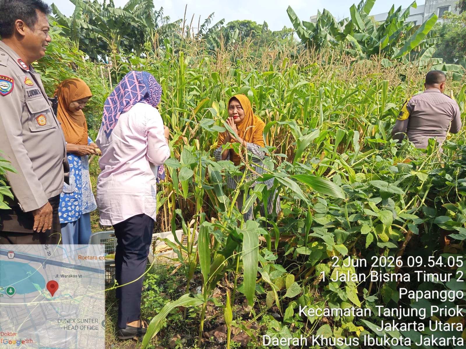 Ketua TP PKK Kelurahan Papanggo Monitoring dan Panen Hasil Kebun Produktif di RW 05 dan Mandiri Bisma 2