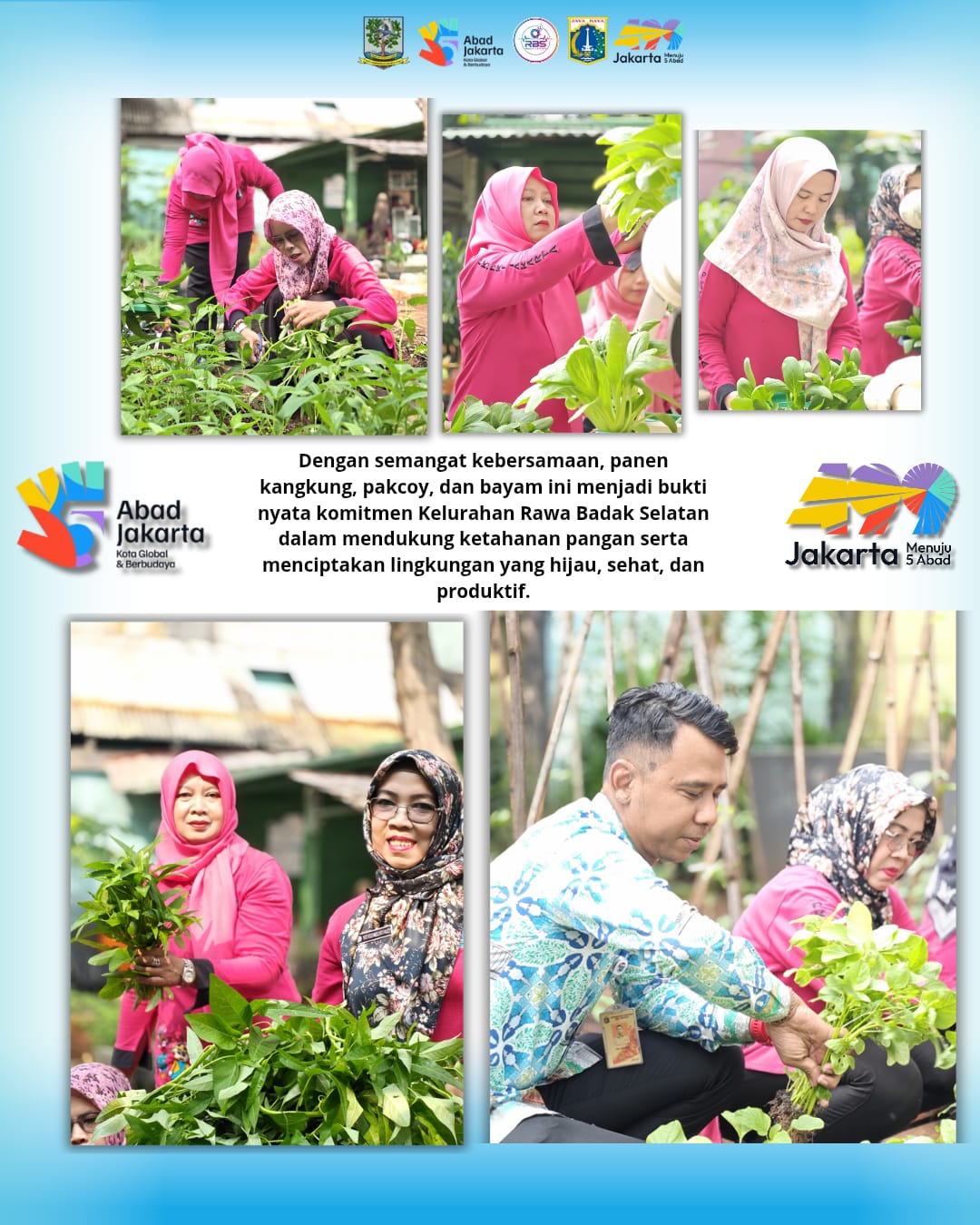 Panen Kangkung, Pakcoy, dan Bayam Perkuat Ketahanan Pangan di Rawa Badak Selatan 1