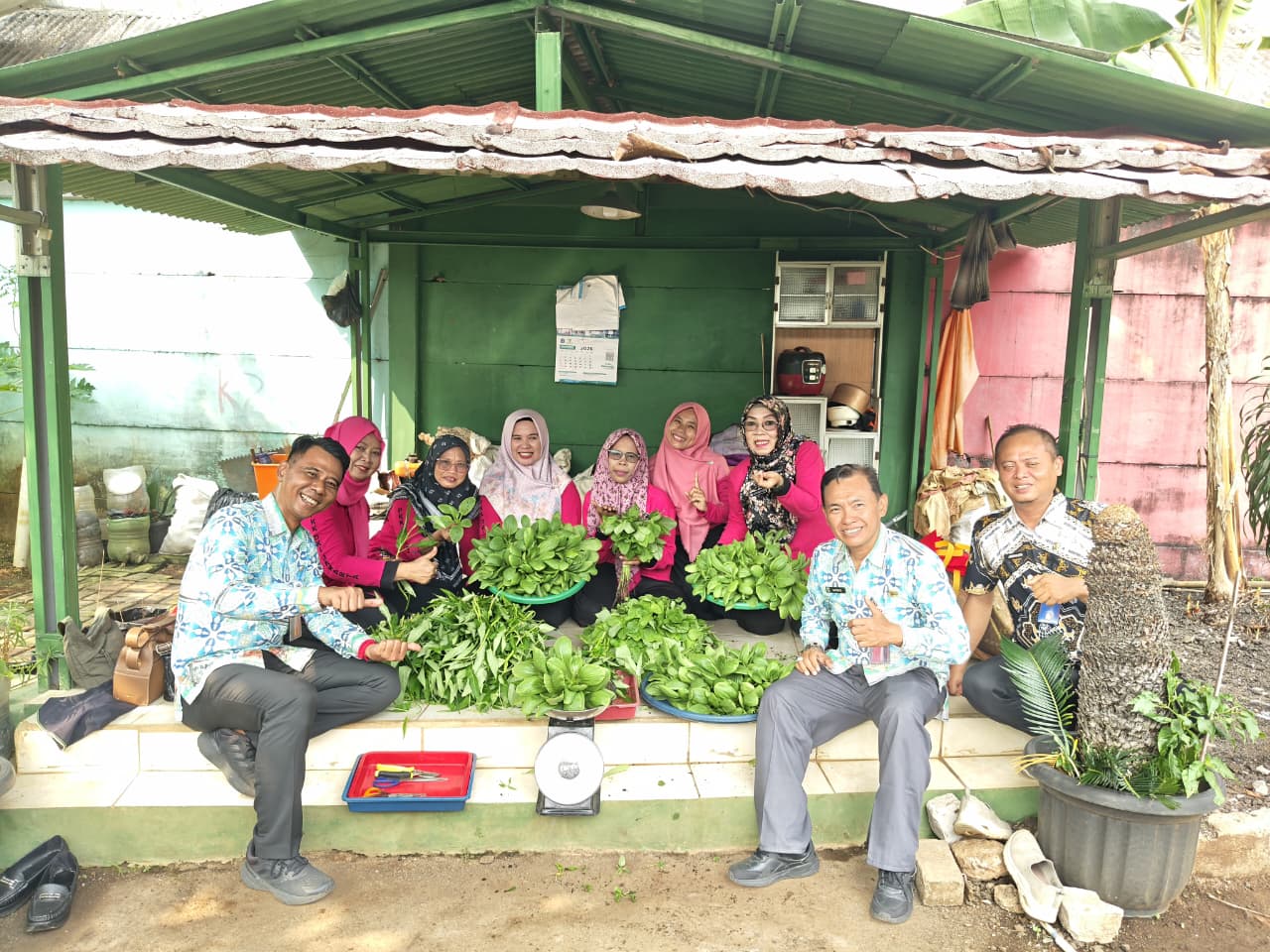 Panen Kangkung, Pakcoy, dan Bayam Perkuat Ketahanan Pangan di Rawa Badak Selatan 6