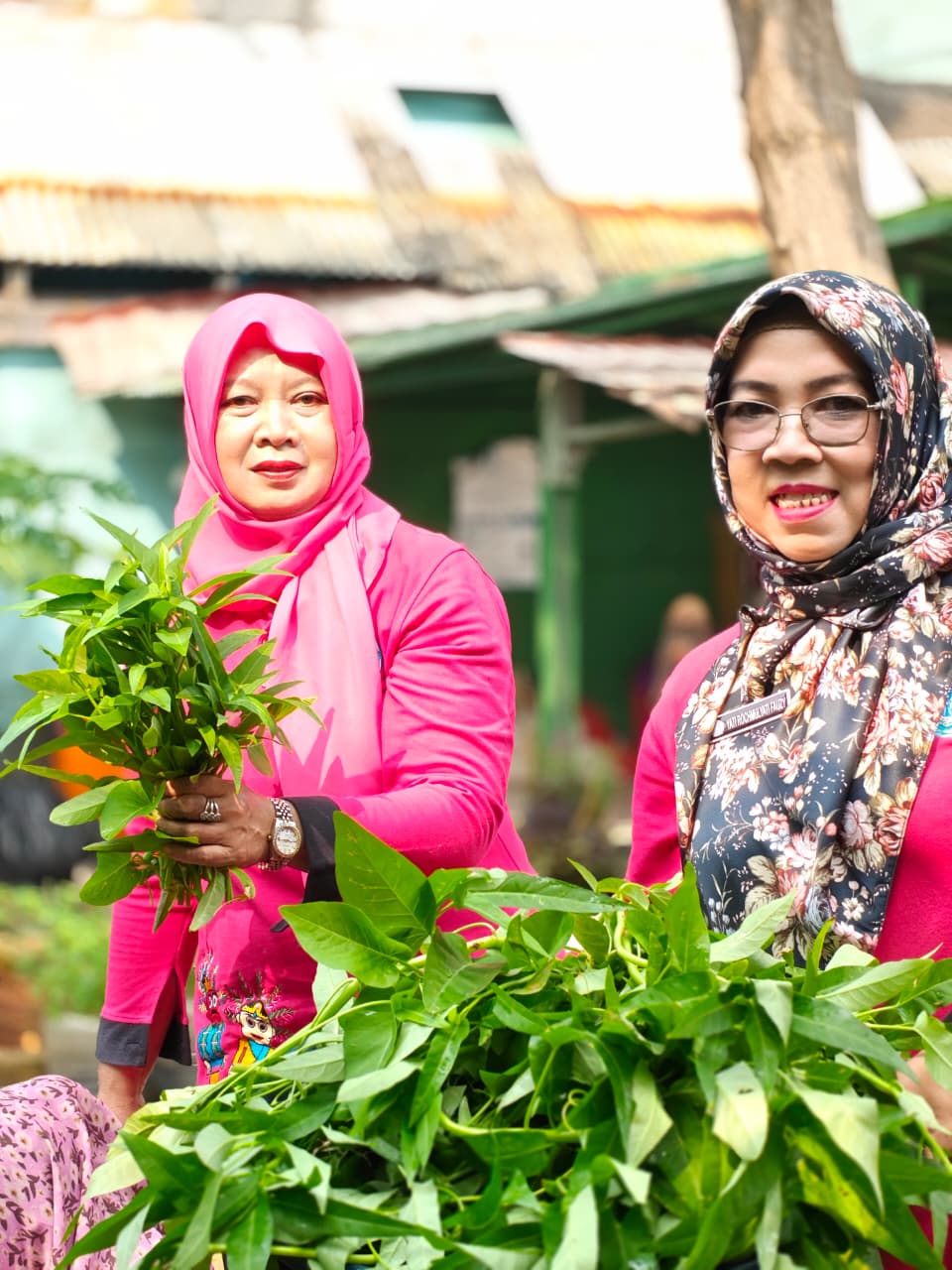 Panen Kangkung, Pakcoy, dan Bayam Perkuat Ketahanan Pangan di Rawa Badak Selatan 5
