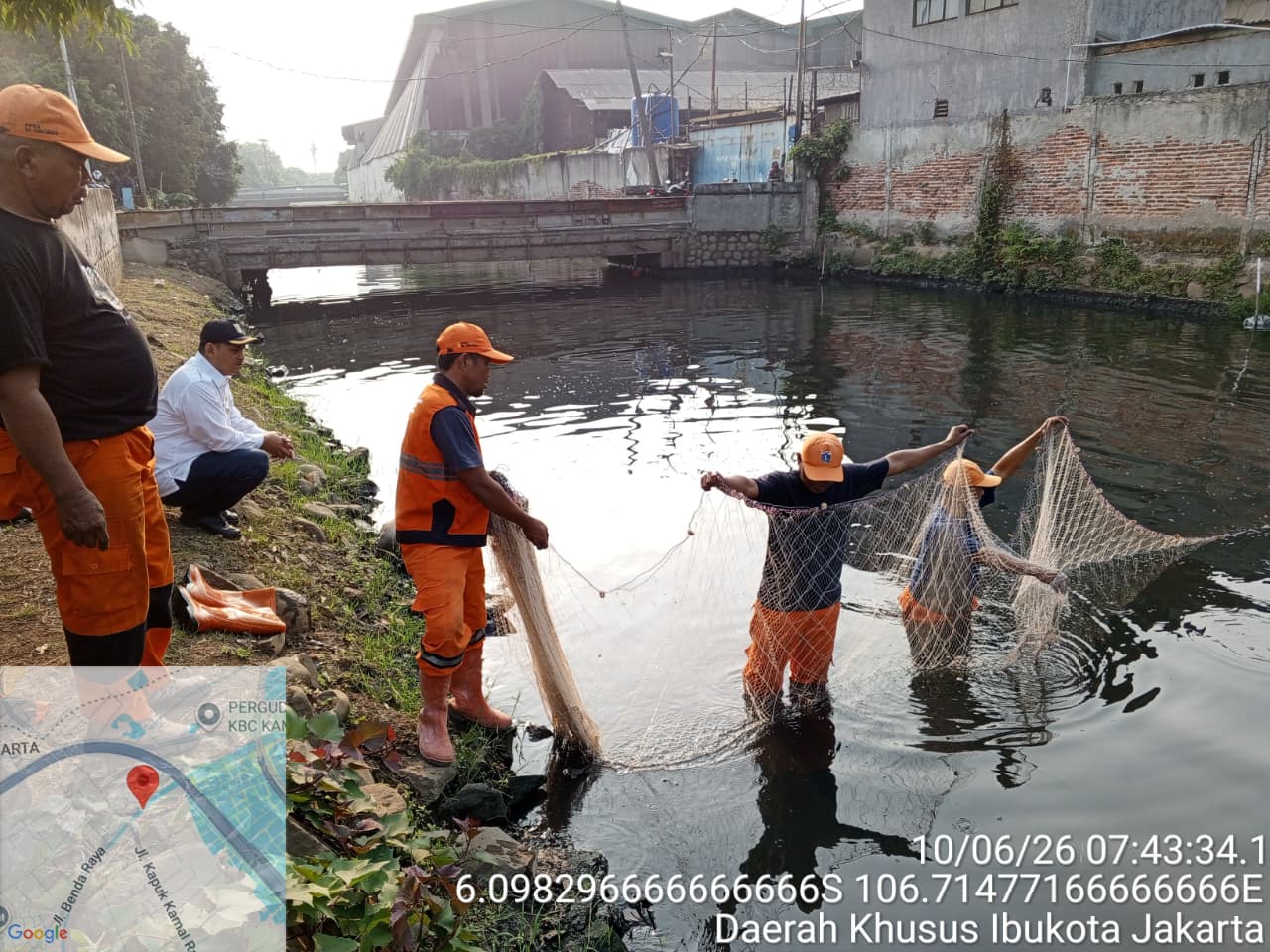 Pengendalian Populasi Ikan Sapu-Sapu di Kali Kamal Tunjukkan Kondisi Perairan Terkendali 2
