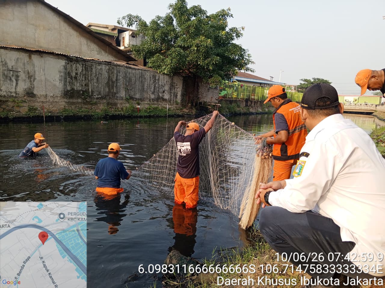 Pengendalian Populasi Ikan Sapu-Sapu di Kali Kamal Tunjukkan Kondisi Perairan Terkendali 1