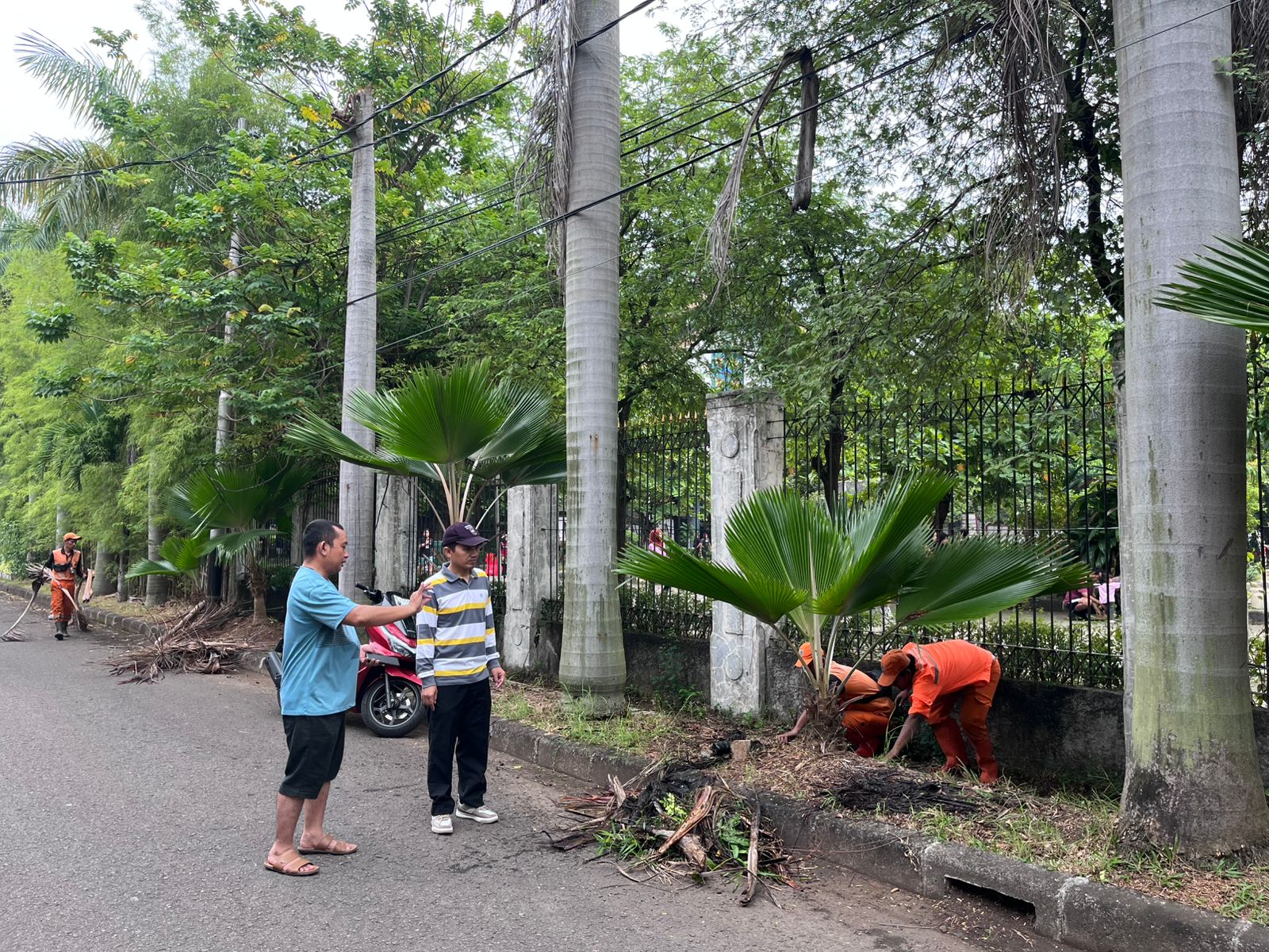 Aksi Nyata Gotong Royong: Kelurahan Sunter Jaya Gelar Kerja Bakti Bersama Warga RW 14 2