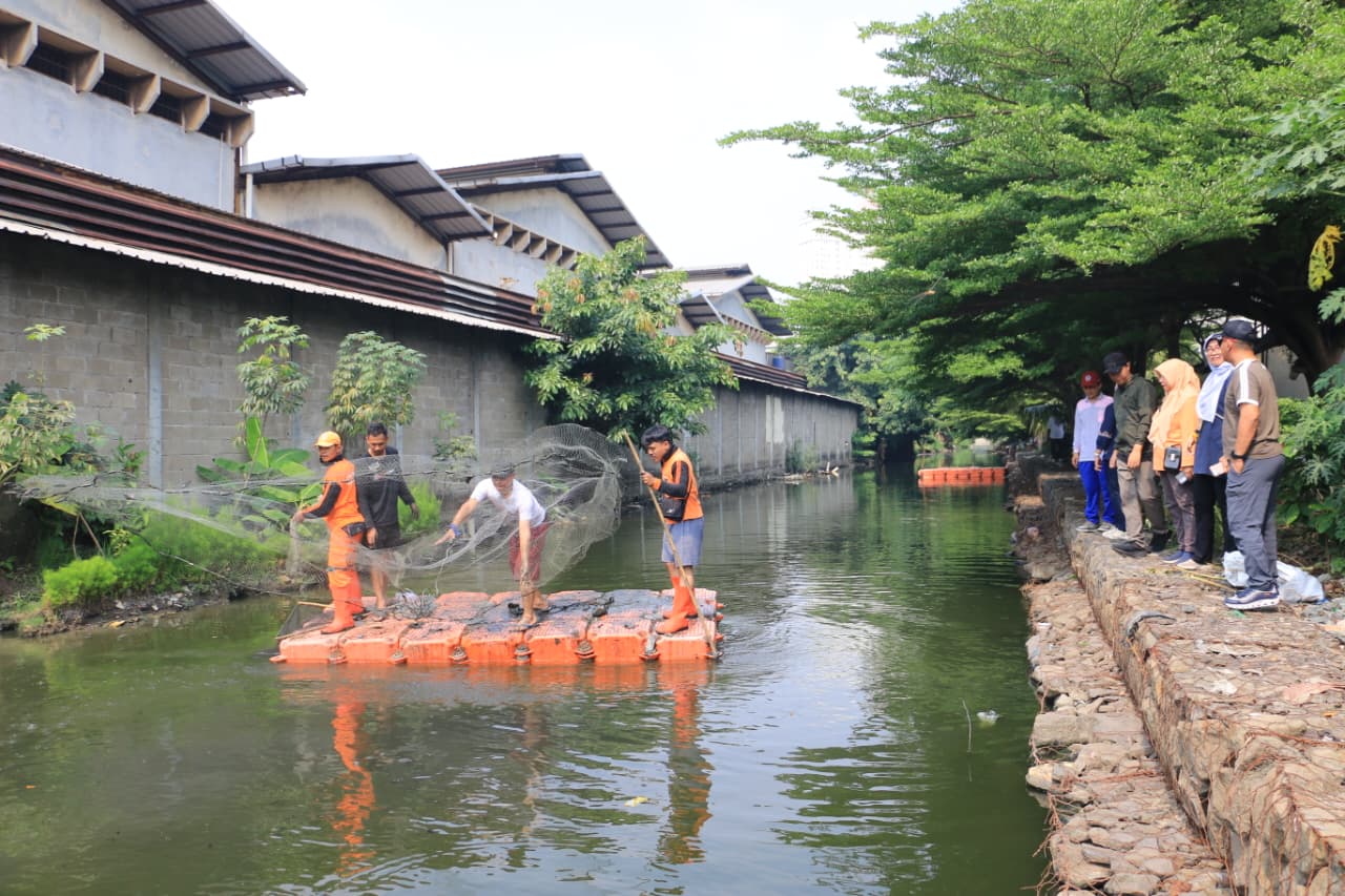 Jaga Keseimbangan Ekosistem Air, Kelurahan Sunter Jaya Laksanakan Giat Penjaringan Ikan Sapu-Sapu 6