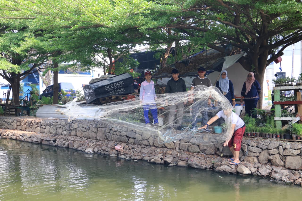 Jaga Keseimbangan Ekosistem Air, Kelurahan Sunter Jaya Laksanakan Giat Penjaringan Ikan Sapu-Sapu 5