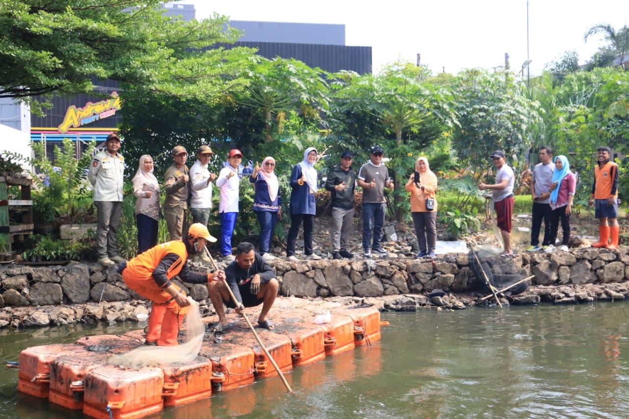 Kendalikan Populasi Hama, Kecamatan Tanjung Priok Bersihkan Ikan Sapu-Sapu di Danau Sunter Jaya 1