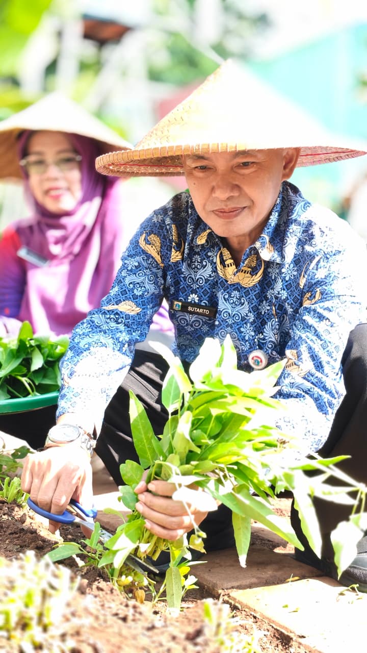 Lurah dan TP PKK Rawa Badak Selatan Panen Hasil Pertanian Perkotaan di RPTRA Rasela 5