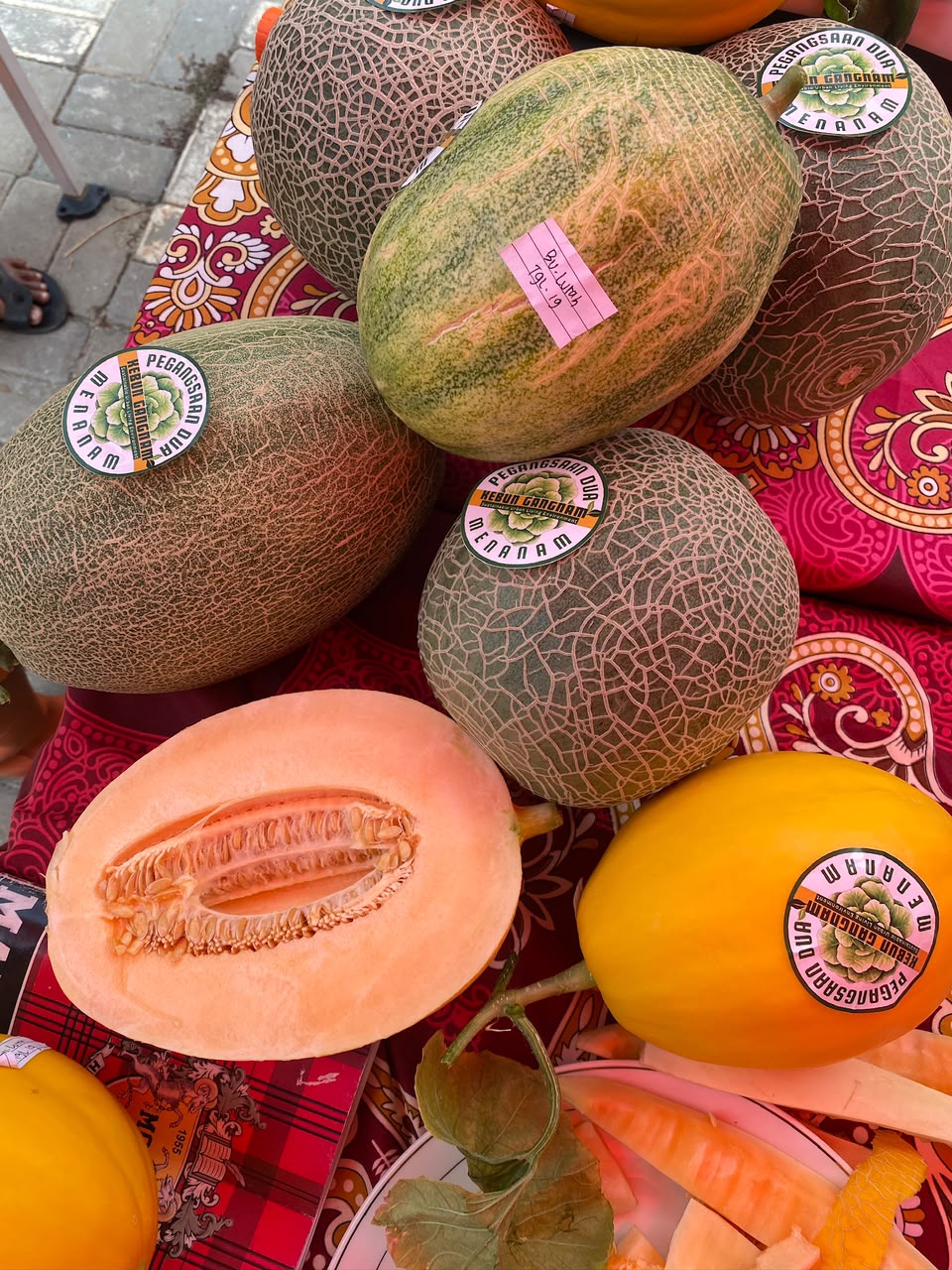 Wisata Petik Melon Kebun Gangnam Bersama Ketua TP PKK Kota Administrasi Jakarta Utara 2