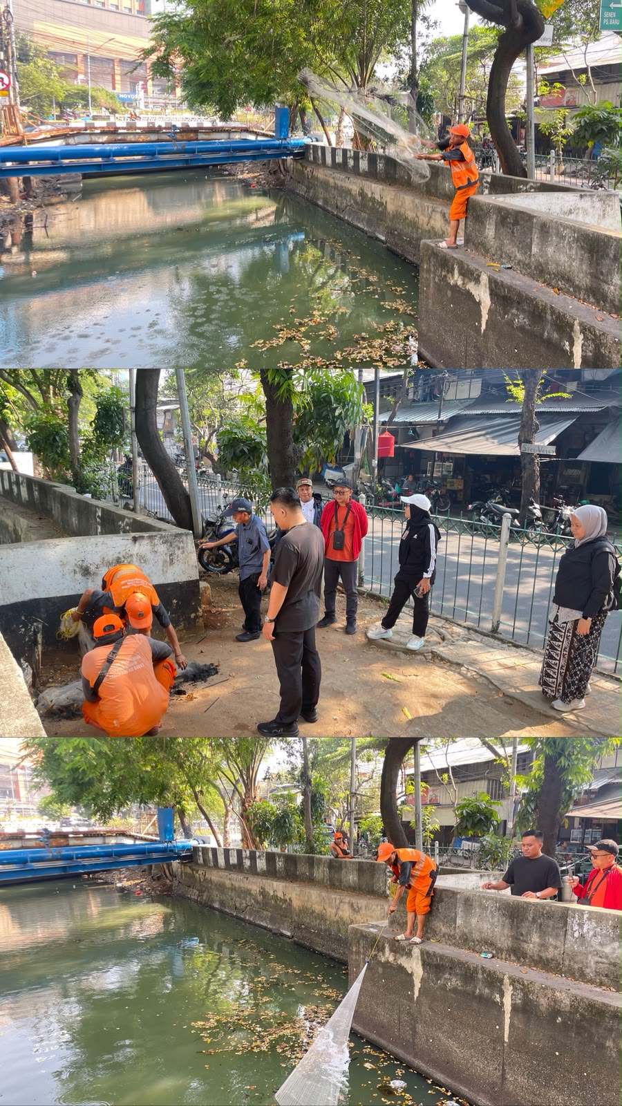Kegiatan Menjaring Ikan Sapu-Sapu di Kalimati RW 01 Kelurahan Pademangan Barat 1
