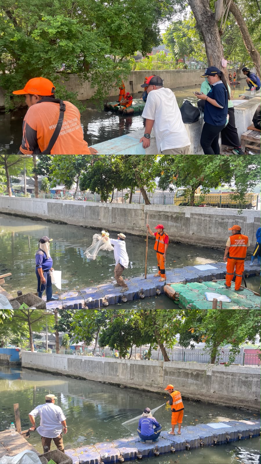 Kegiatan Menjaring Ikan Sapu-Sapu di Kalimati RW 01 Kelurahan Pademangan Barat 3