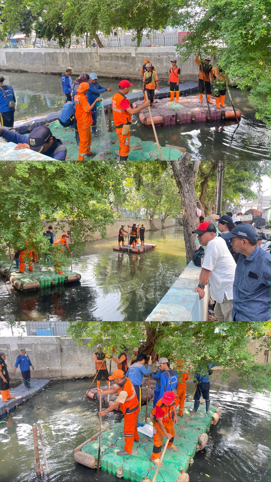 Kegiatan Menjaring Ikan Sapu-Sapu di Kalimati RW 01 Kelurahan Pademangan Barat 2