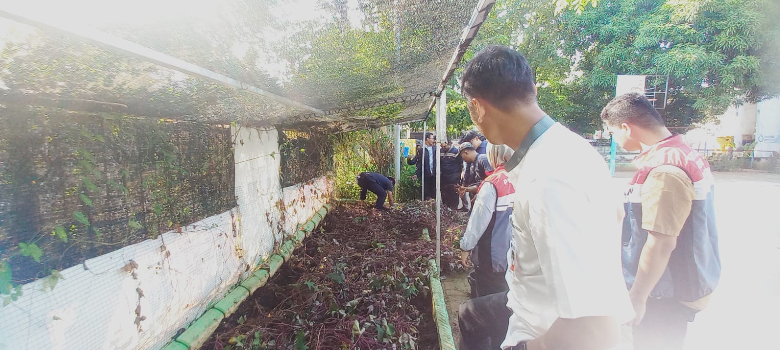 Sunter Jaya Bebas Jentik, Bersama Kita Perangi DBD 1