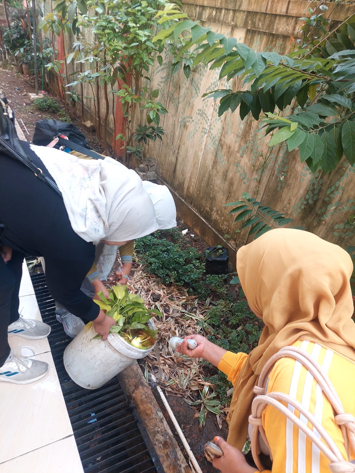 Jumat, 26 Juni 2026 | Pemberantasan Sarang Nyamuk (PSN) di Lingkungan Perkantoran Kelurahan Pademangan Timur 2