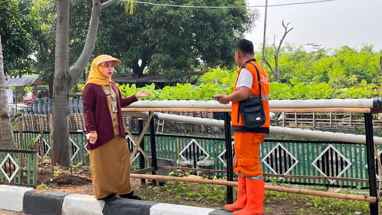 Monitoring Kasi Ekbang Terkait Penataan Kawasan TW 3 dan Pengembangan Hidroponik Zona PPSU Kelurahan Pademangan Timur Selasa, 30 Juni 2026 4