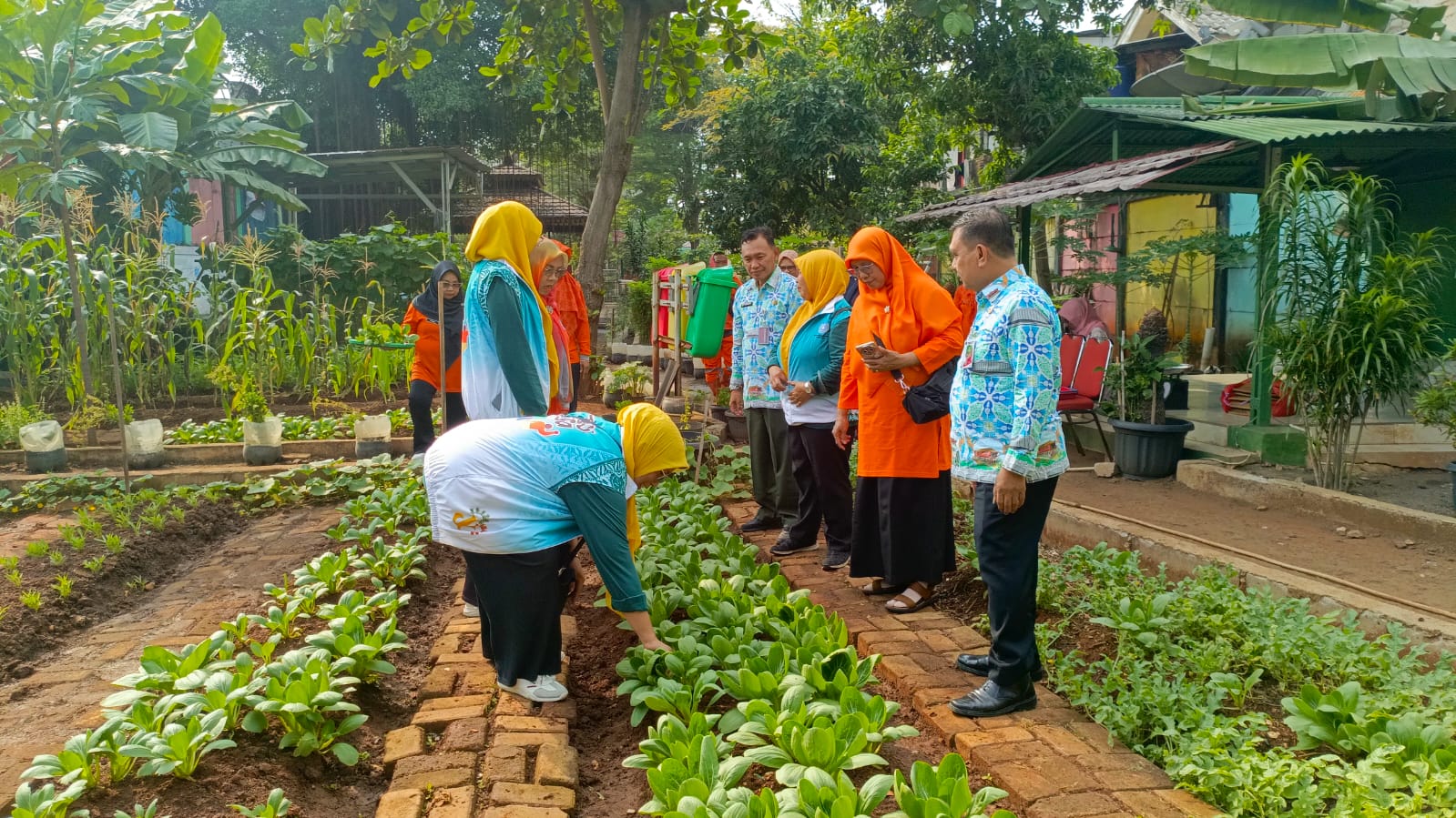 Panen Bersama Urban Farming di RPTRA Rasela, Wujudkan Ketahanan Pangan dan Lingkungan Hijau 2