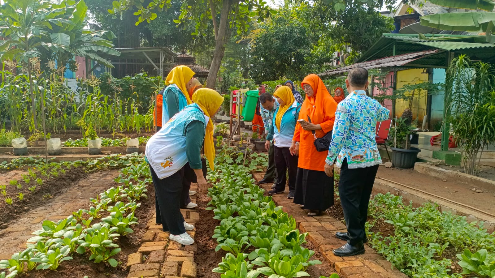 Panen Bersama Urban Farming di RPTRA Rasela, Wujudkan Ketahanan Pangan dan Lingkungan Hijau 1
