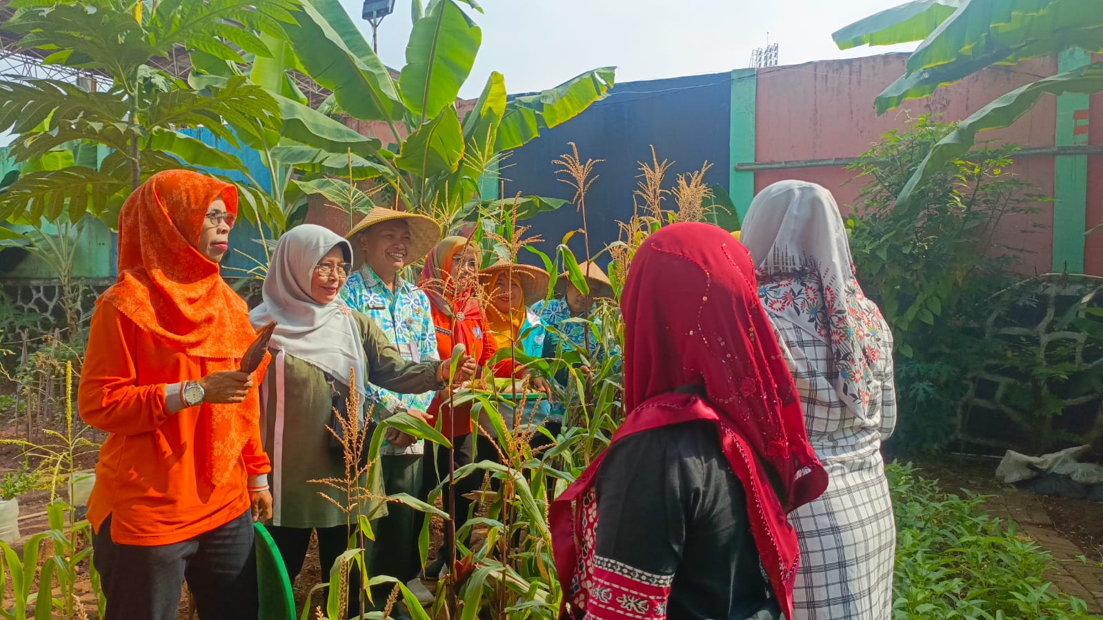 Panen Bersama Urban Farming di RPTRA Rasela, Wujudkan Ketahanan Pangan dan Lingkungan Hijau 4