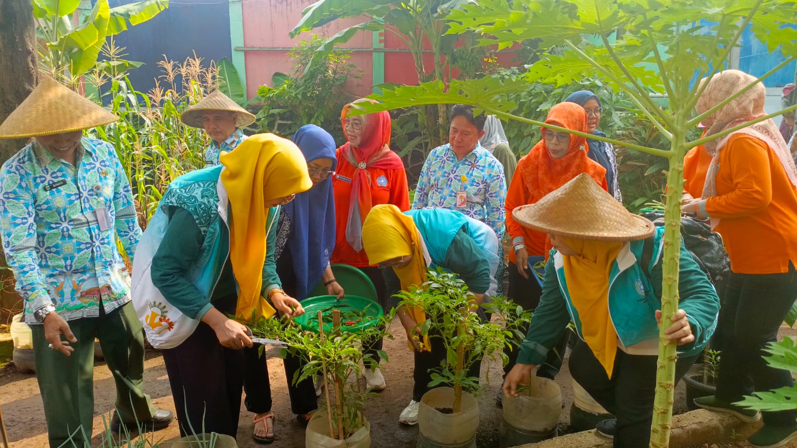 Panen Bersama Urban Farming di RPTRA Rasela, Wujudkan Ketahanan Pangan dan Lingkungan Hijau 3