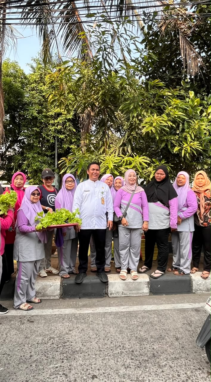 Panen Pakcoy dan Selada Hidroponik di Taman Hatinya PKK RW 01 dan RW 09 Kelurahan Pademangan Timur 1