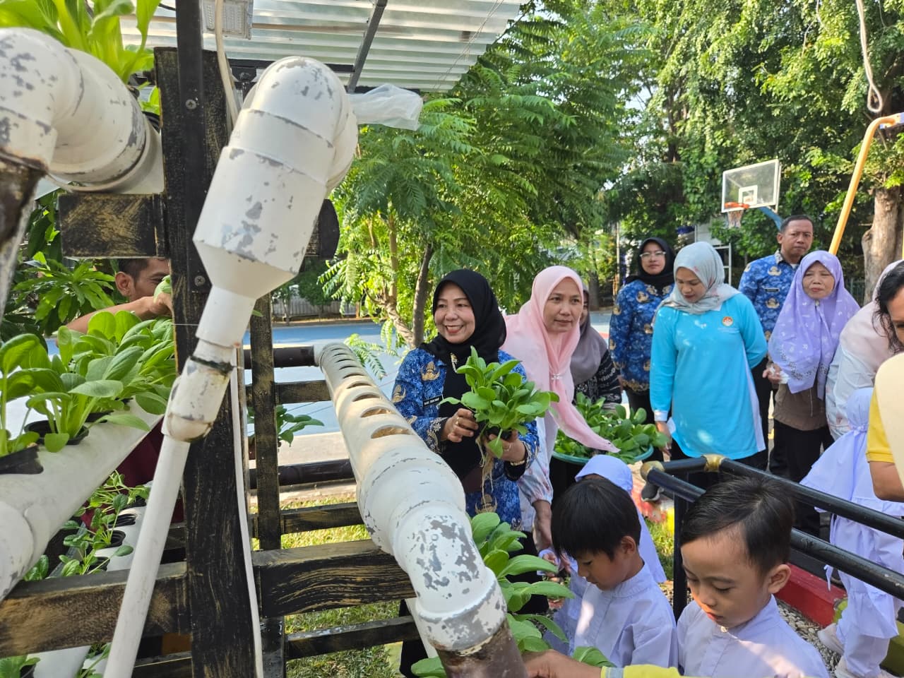 Lurah Kelapa Gading Timur Hadiri Panen Pakcoy Bersama Murid PAUD Al Hidayah 5