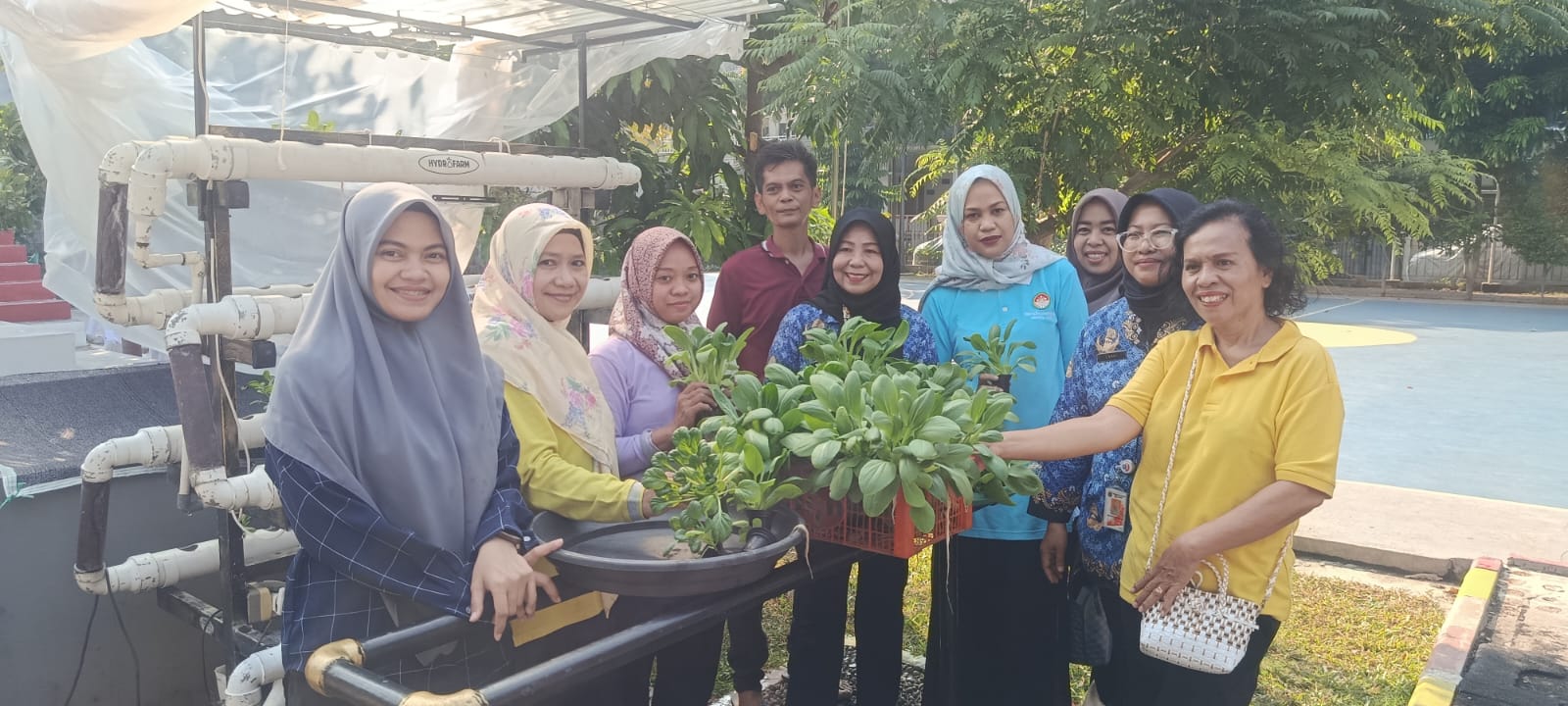 Lurah Kelapa Gading Timur Hadiri Panen Pakcoy Bersama Murid PAUD Al Hidayah 3