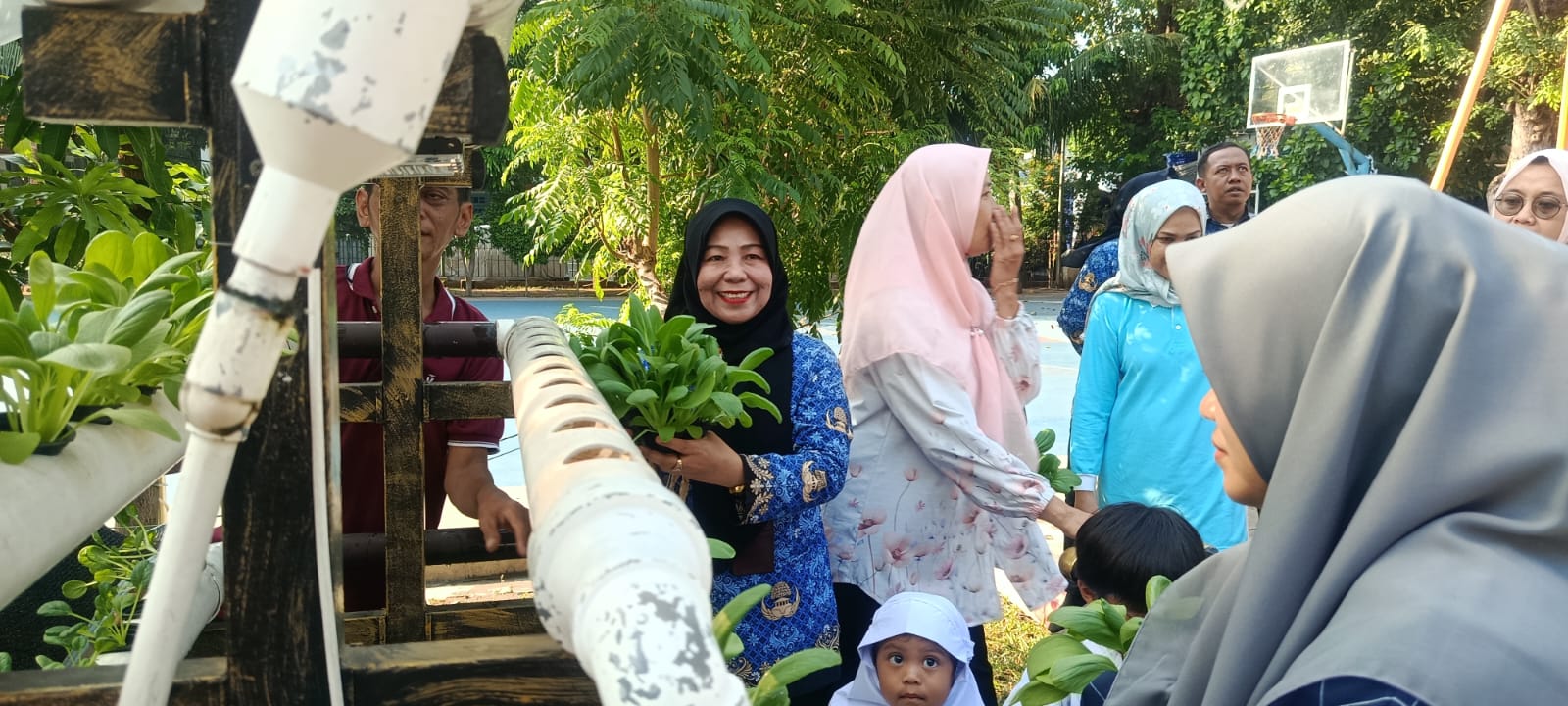 Lurah Kelapa Gading Timur Hadiri Panen Pakcoy Bersama Murid PAUD Al Hidayah 2