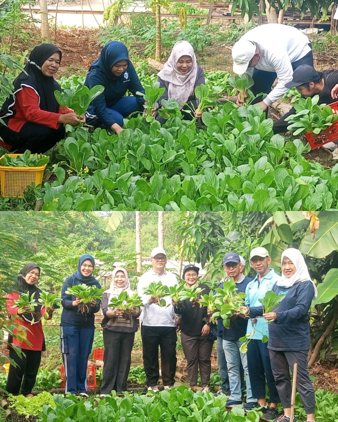Kerja Bakti Pilah Sampah di RW 003, Wujud Kolaborasi Mewujudkan Lingkungan Bersih dan Berkelanjutan 4