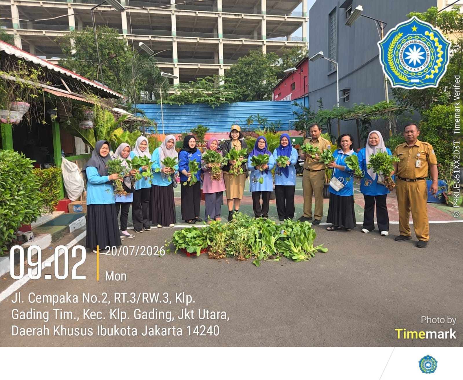 Panen Sawi dan Kacang Tanah di Kebun Cempaka RW 03 Wujudkan Ketahanan Pangan Berbasis Masyarakat 4
