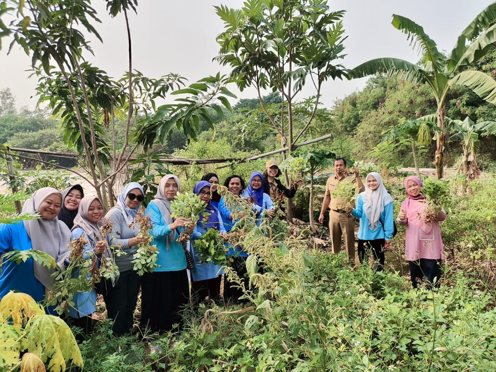 Panen Sawi dan Kacang Tanah di Kebun Cempaka RW 03 Wujudkan Ketahanan Pangan Berbasis Masyarakat 2