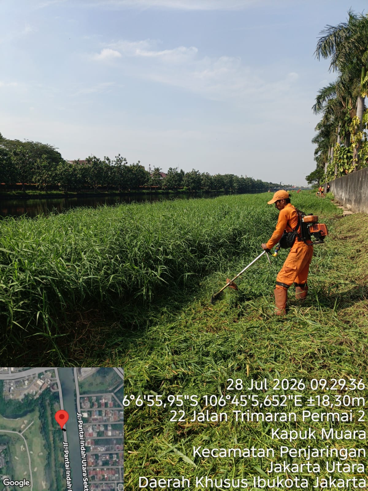 Kolaborasi Lintas Tim, PPSU Kamal Muara Bersihkan Kali Cengkareng Drain untuk Jaga Lingkungan Tetap Bersih dan Terawat 2