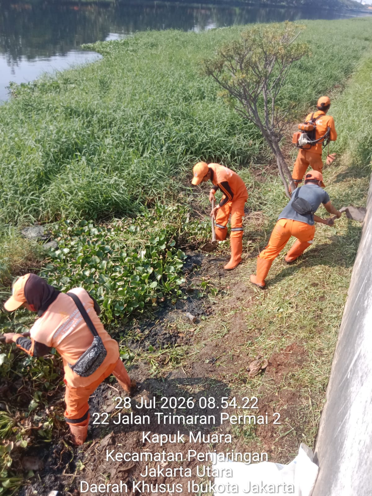 Kolaborasi Lintas Tim, PPSU Kamal Muara Bersihkan Kali Cengkareng Drain untuk Jaga Lingkungan Tetap Bersih dan Terawat 3