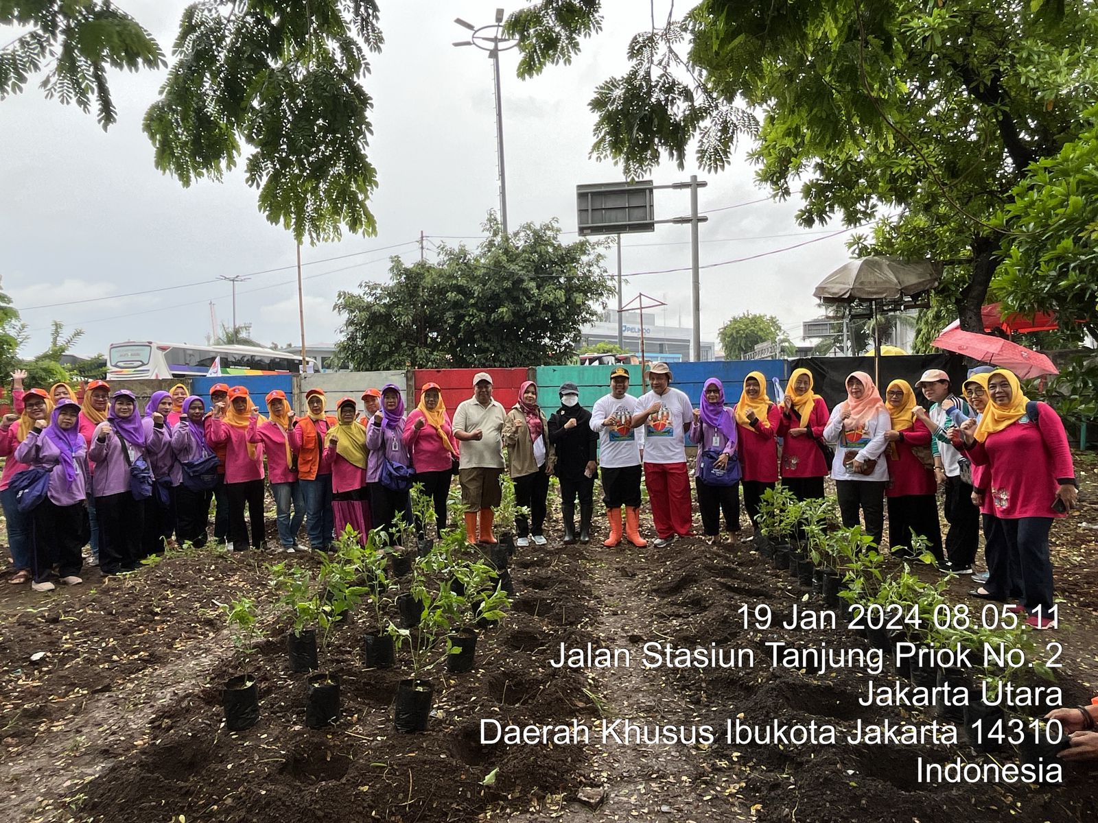 Penerapan Urban Farming di Wilayah Tanjung Priok