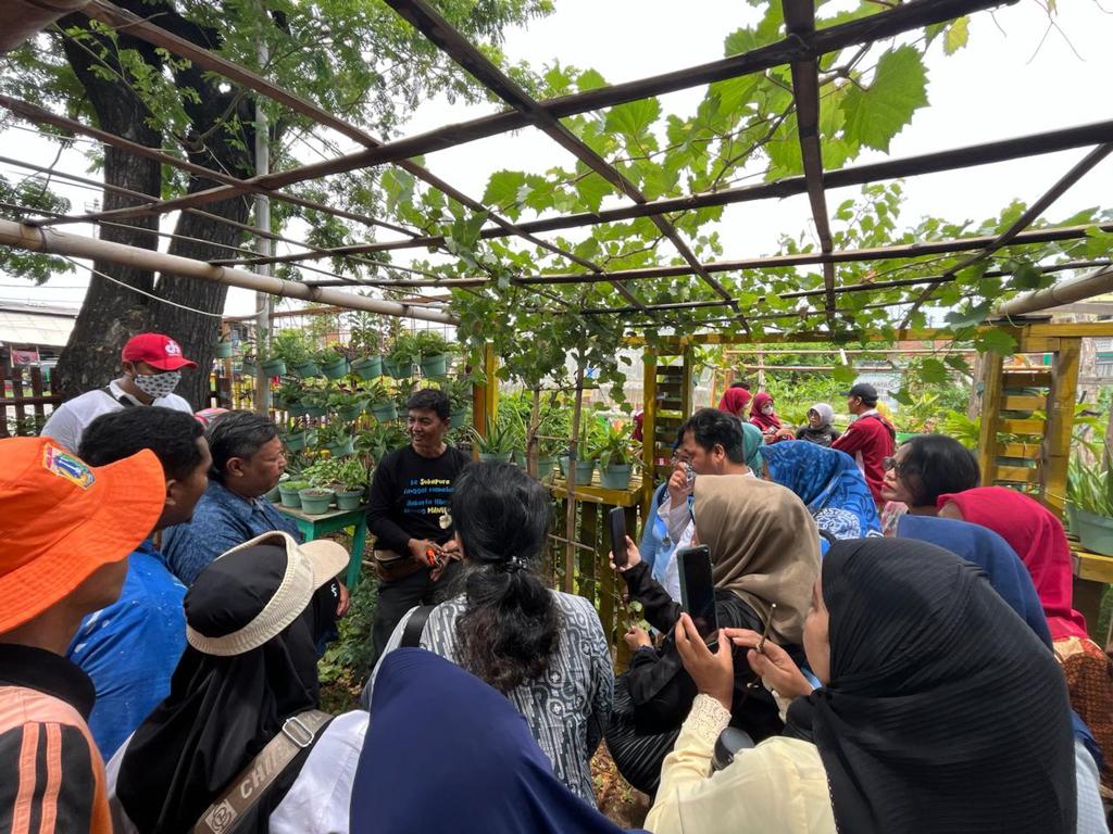 Optimalkan Urban Farming, 35 Warga Tanjung Priok Ikut Pelatihan Budidaya Tanaman Anggur